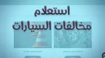 المخالفات المرورية في مصر برقم السيارة: طريقة الكشف السريع وتفادي العقوبات